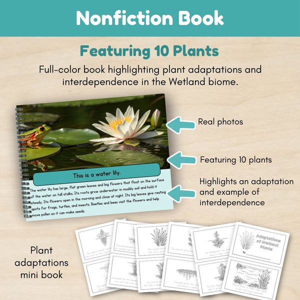 Wetland Biome: Plants