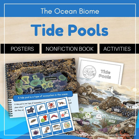 Ocean Biome: Tide Pool Ecosystem