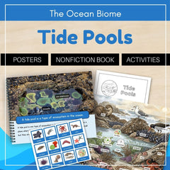 Ocean Biome: Tide Pool Ecosystem
