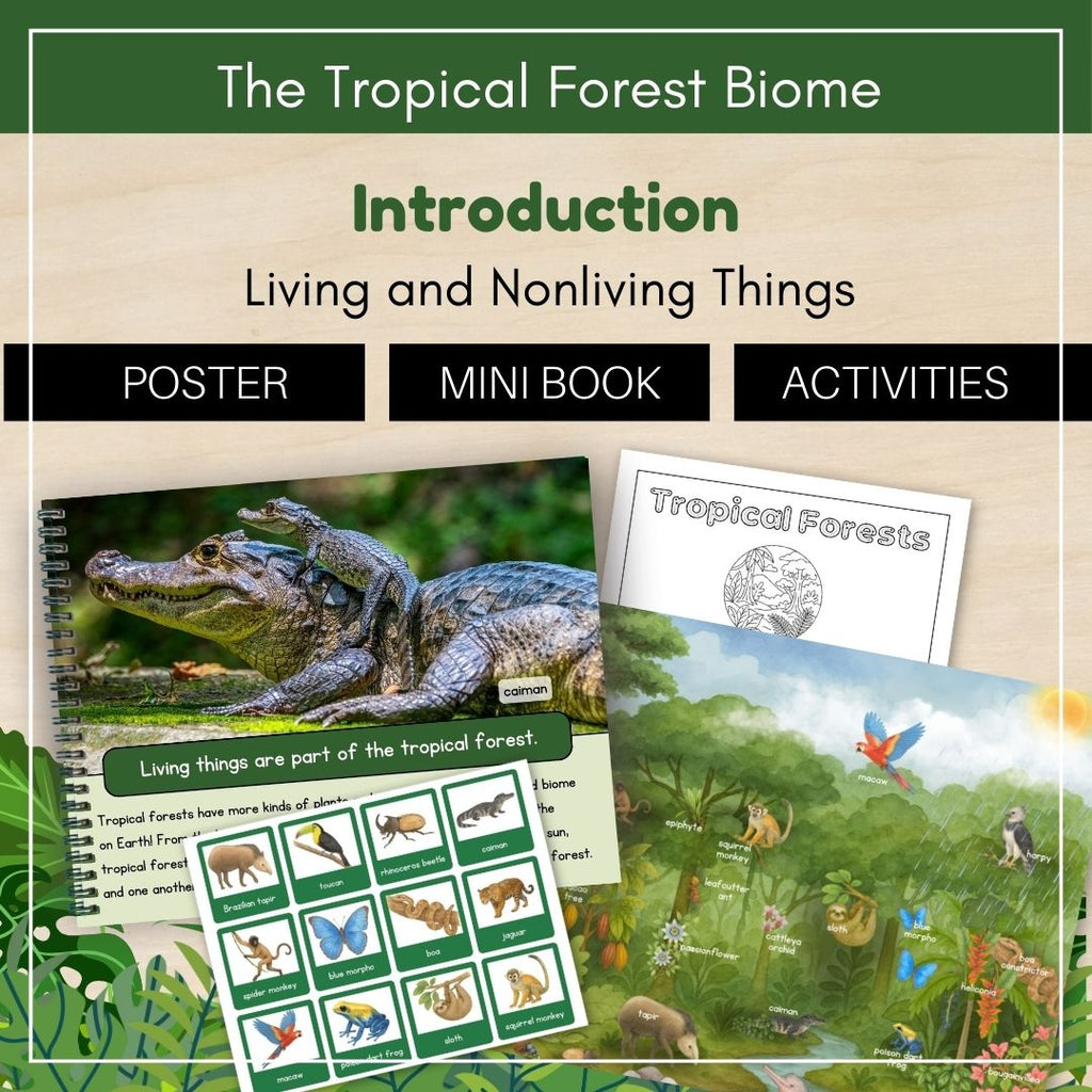 Tropical Forest Biome: Introduction - Trillium Montessori