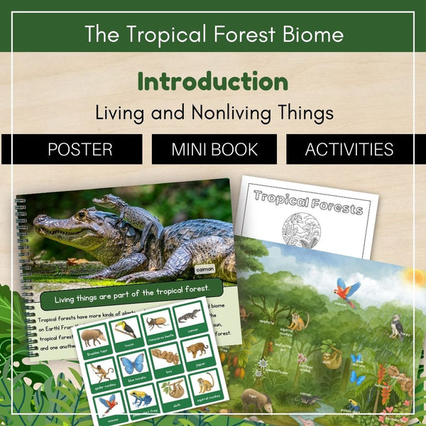 Tropical Forest Biome: Introduction - Trillium Montessori