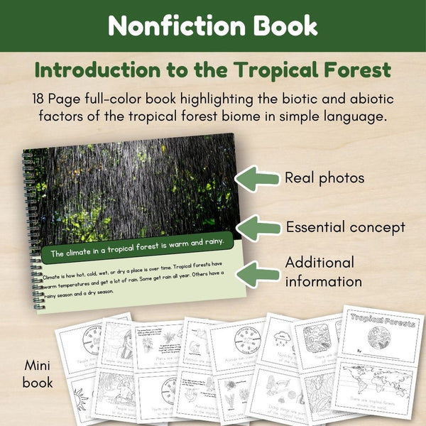 Tropical Forest Biome: Introduction - Trillium Montessori