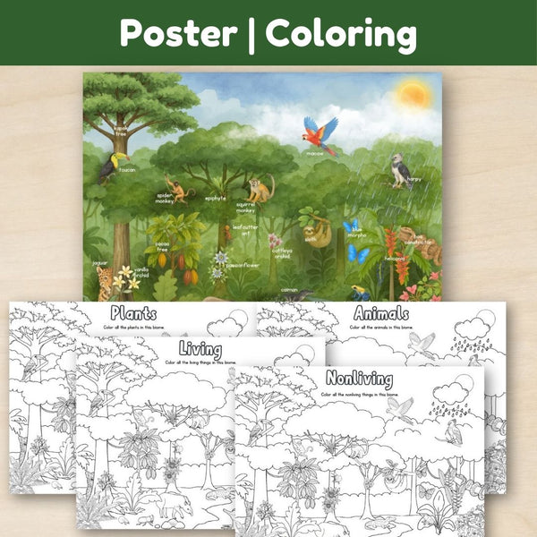 Tropical Forest Biome: Introduction - Trillium Montessori