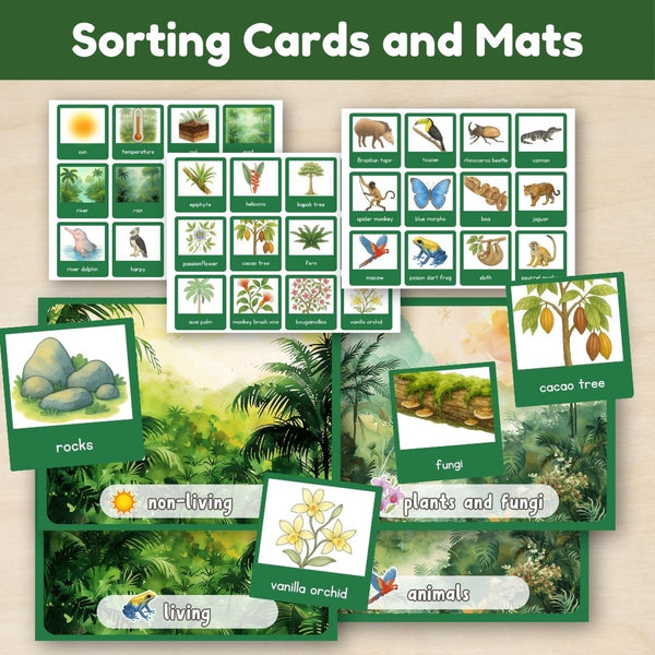 Tropical Forest Biome: Introduction - Trillium Montessori