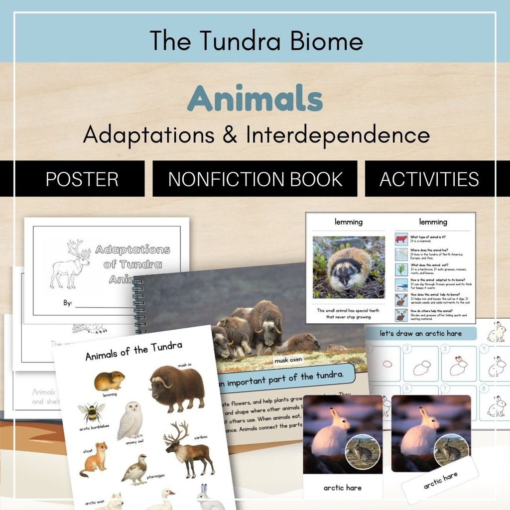 Tundra Biome: Animals