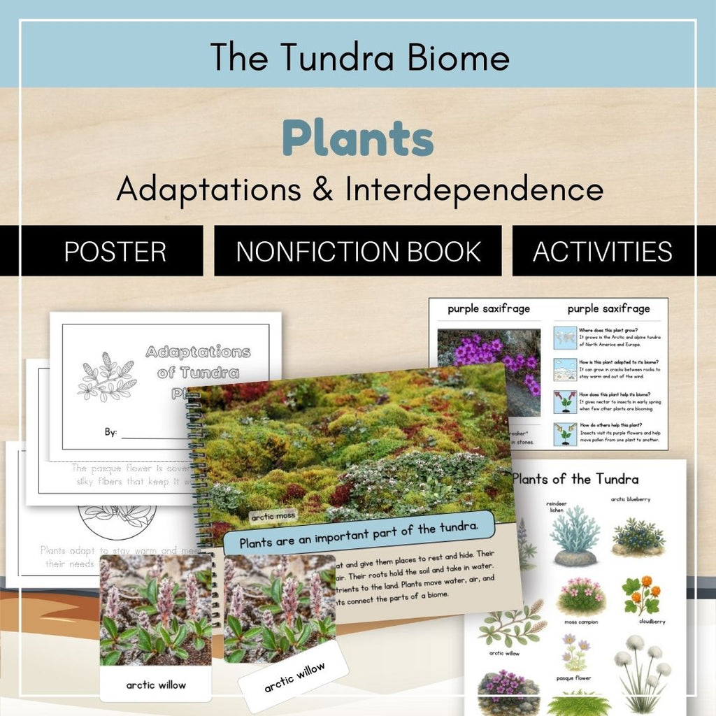 Tundra Biome: Plants