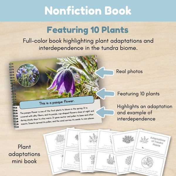 Tundra Biome: Plants