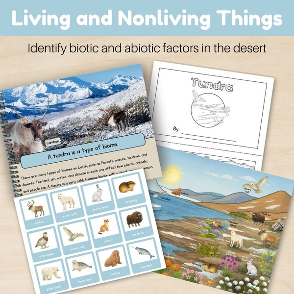 Tundra Biome: Bundle