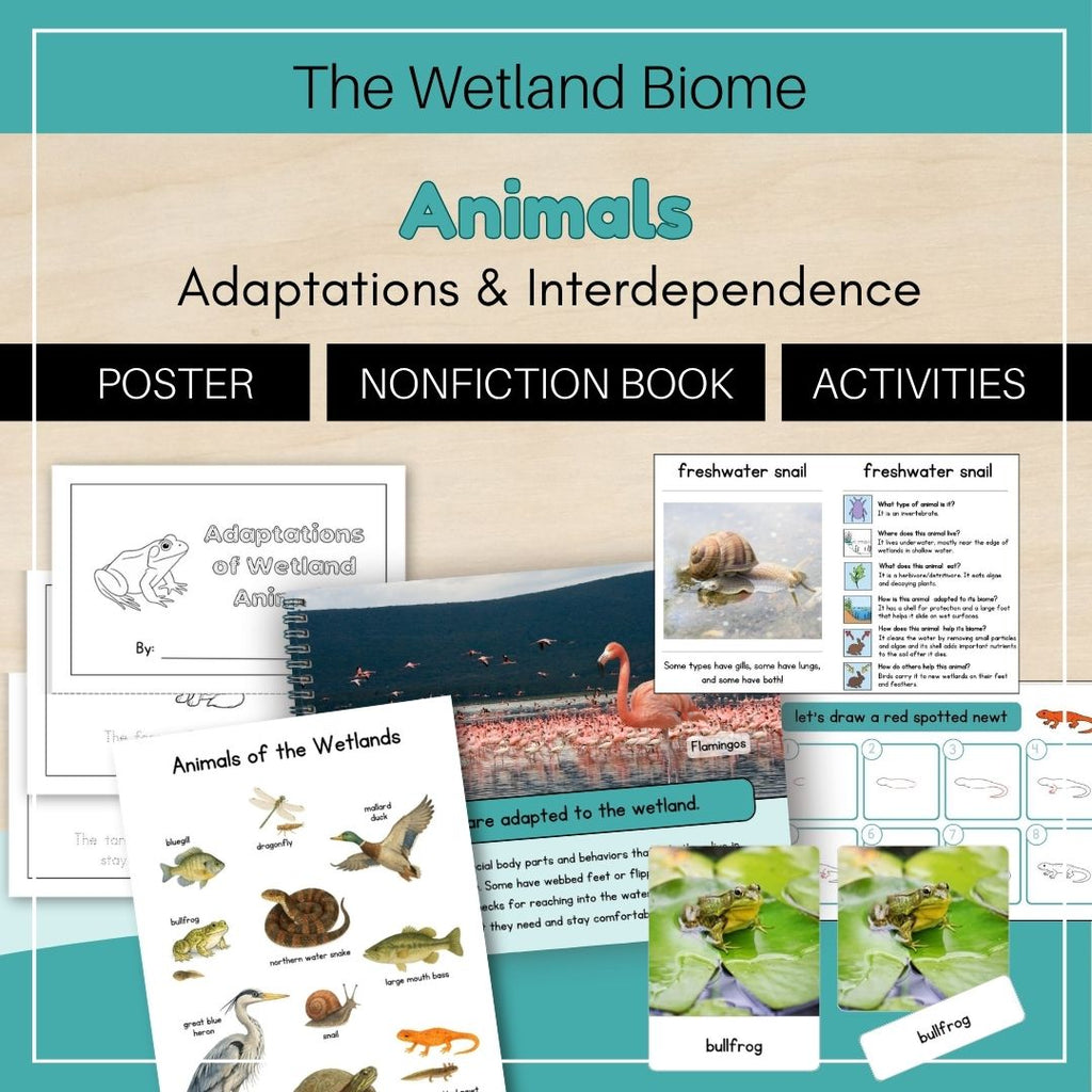 Wetland Biome: Animals