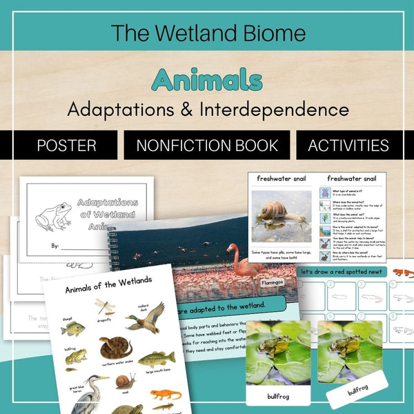 Wetland Biome: Animals