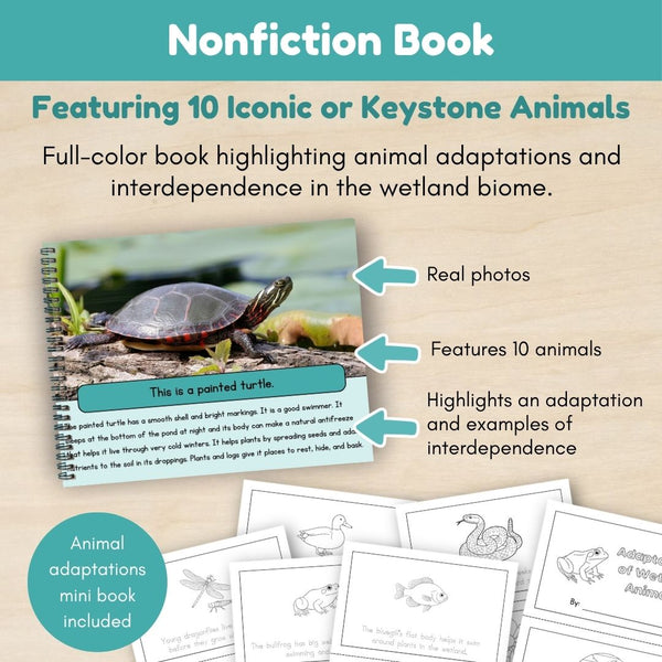 Wetland Biome: Animals