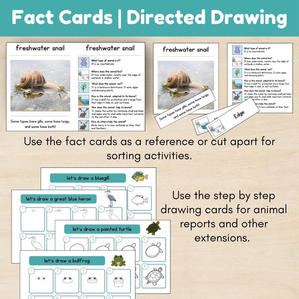 Wetland Biome: Animals