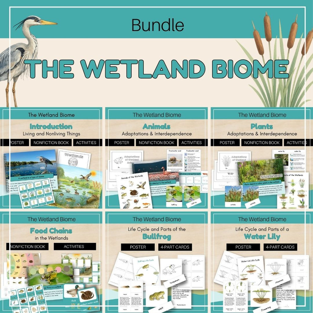 Wetland Biome: Bundle