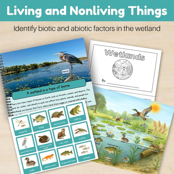 Wetland Biome: Bundle