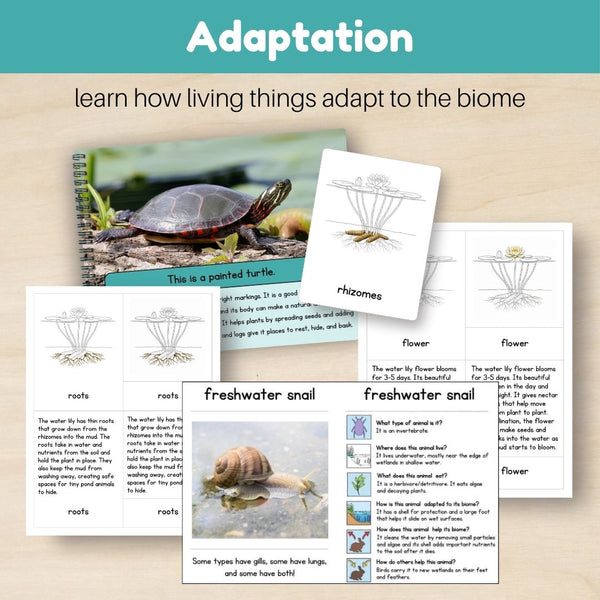 Wetland Biome: Bundle