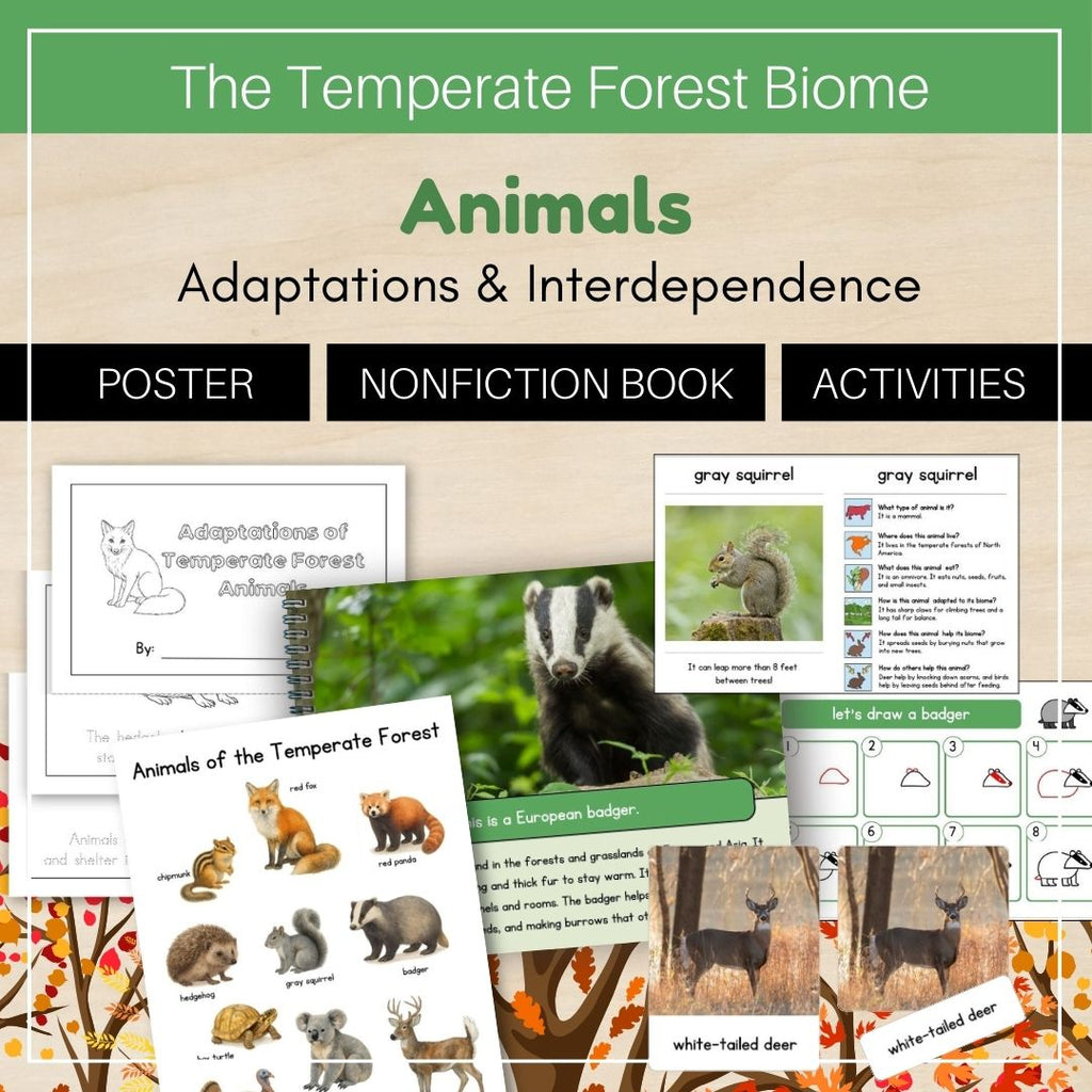 Temperate Forest Biome: Animals