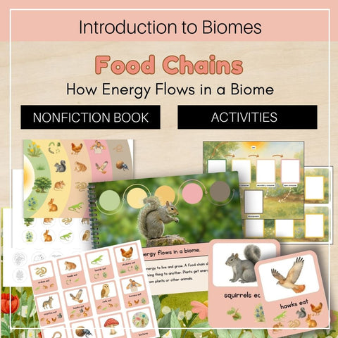 Introduction to Biomes: Intro to Food Chains