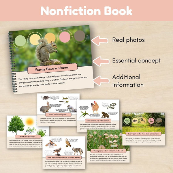 Introduction to Biomes: Intro to Food Chains