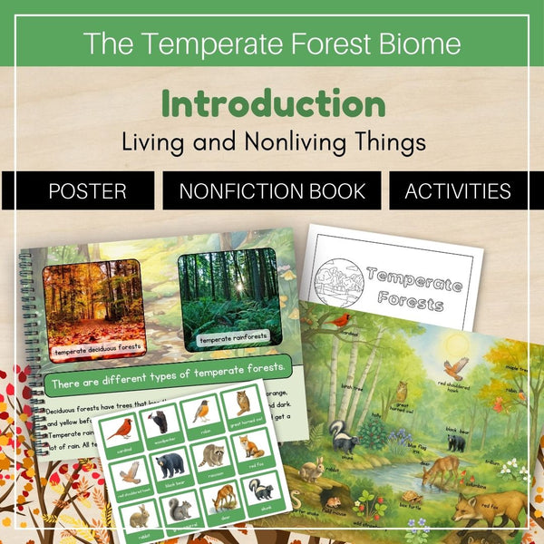 Temperate Forest Biome: Introduction