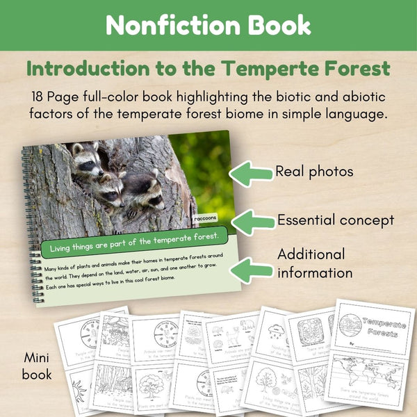 Temperate Forest Biome: Introduction