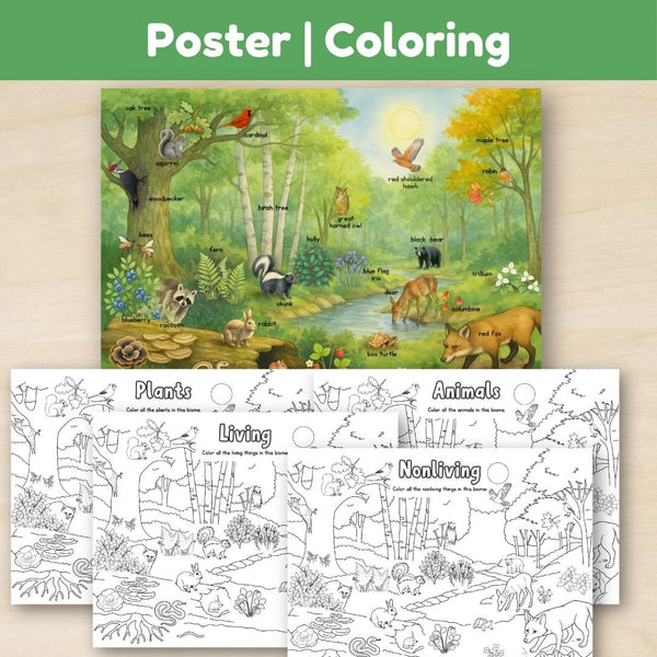 Temperate Forest Biome: Introduction