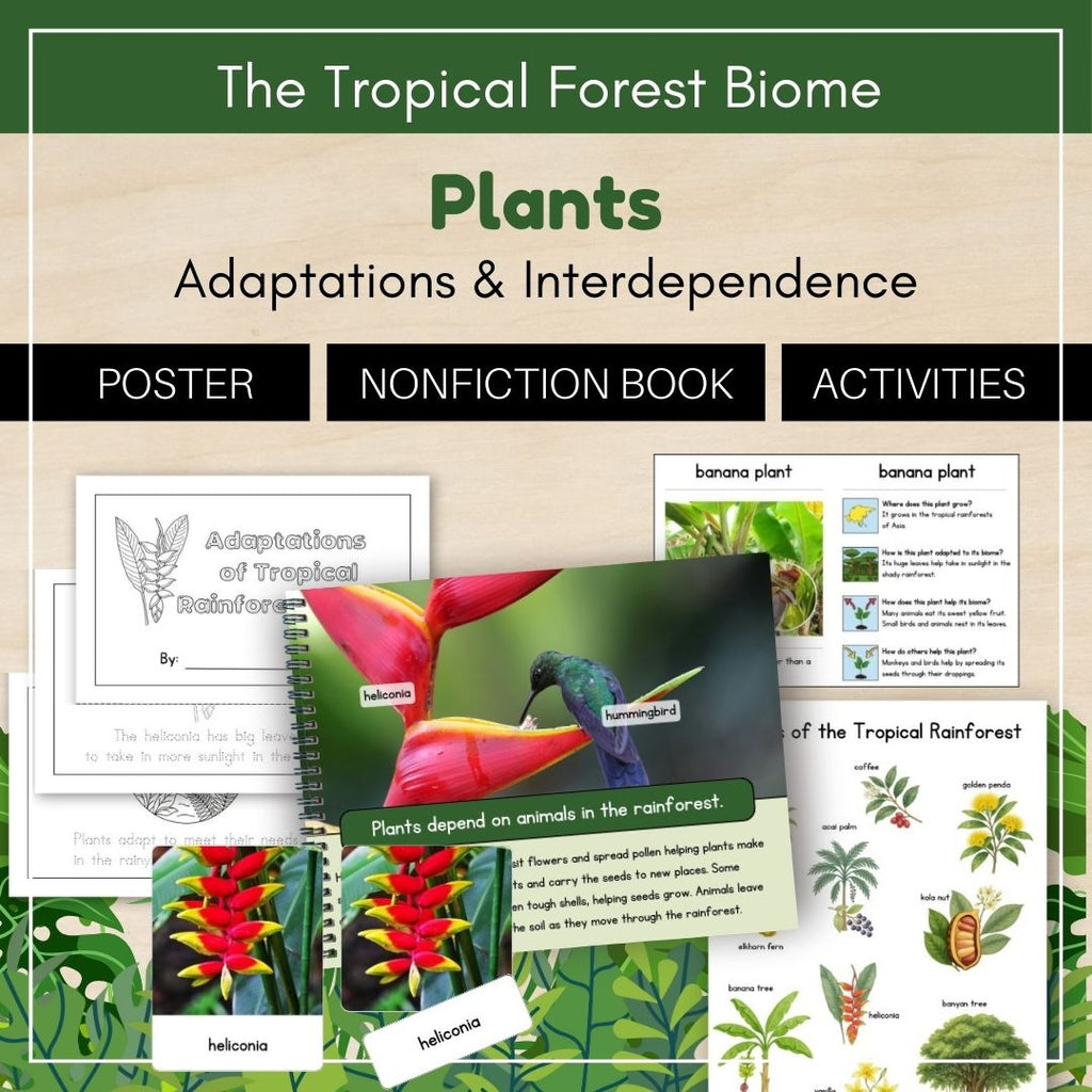 Tropical Forest Biome: Plants - Trillium Montessori