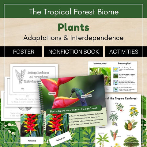 Tropical Forest Biome: Plants - Trillium Montessori