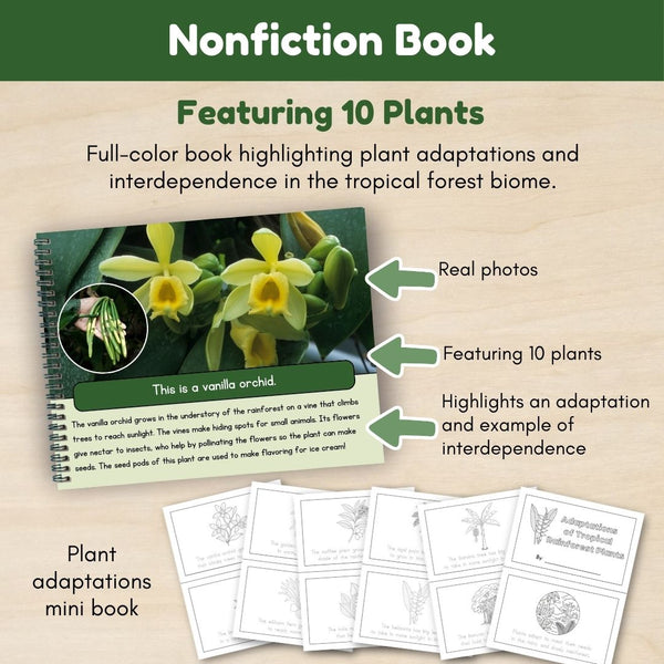 Tropical Forest Biome: Plants - Trillium Montessori