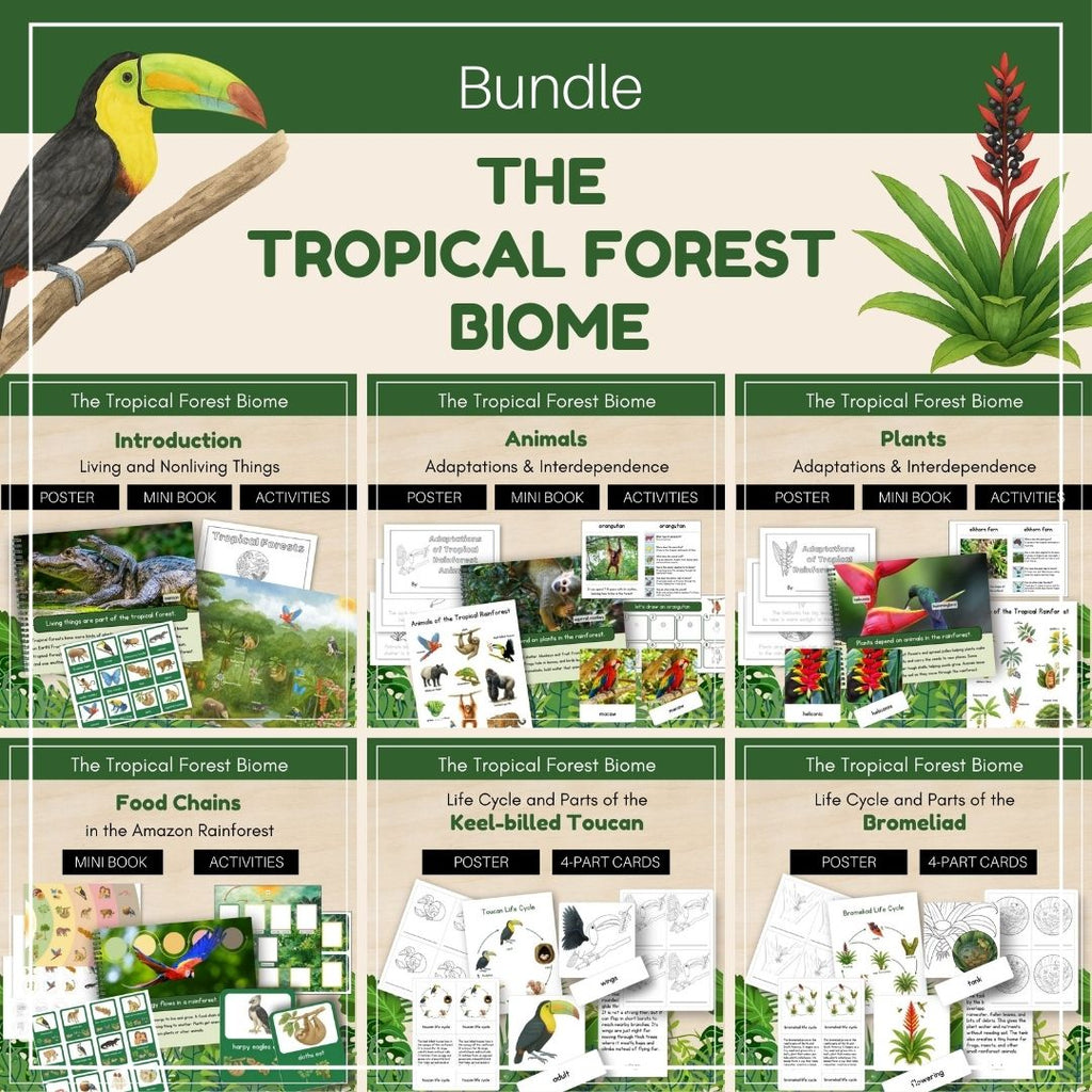 Tropical Forest Biome: Bundle - Trillium Montessori