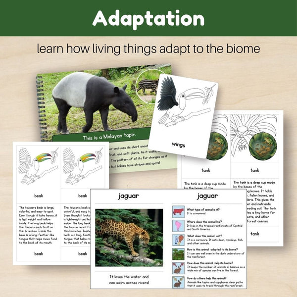 Tropical Forest Biome: Bundle - Trillium Montessori