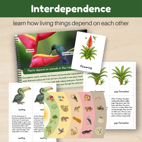 Tropical Forest Biome: Bundle - Trillium Montessori