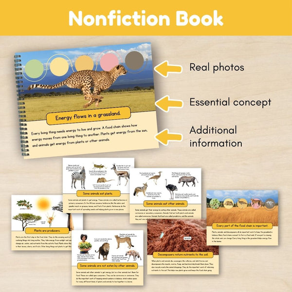 Grassland Biome: Food Chains - Trillium Montessori