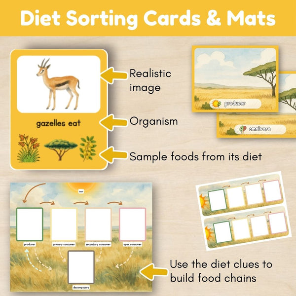 Grassland Biome: Food Chains - Trillium Montessori