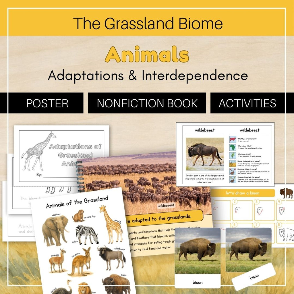 Grassland Biome: Animals - Trillium Montessori