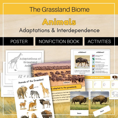 Grassland Biome: Animals - Trillium Montessori