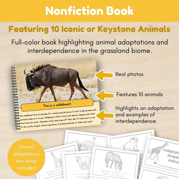 Grassland Biome: Animals - Trillium Montessori