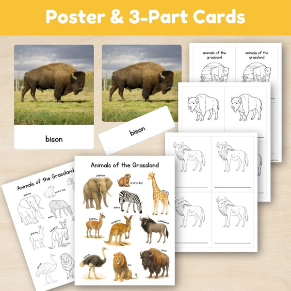 Grassland Biome: Animals - Trillium Montessori