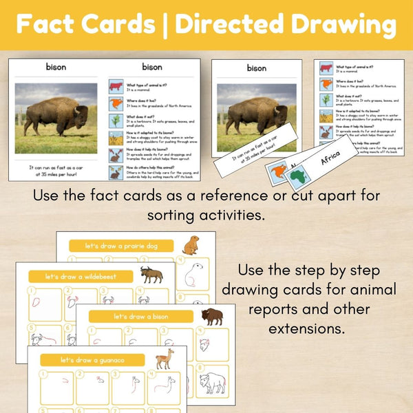 Grassland Biome: Animals - Trillium Montessori