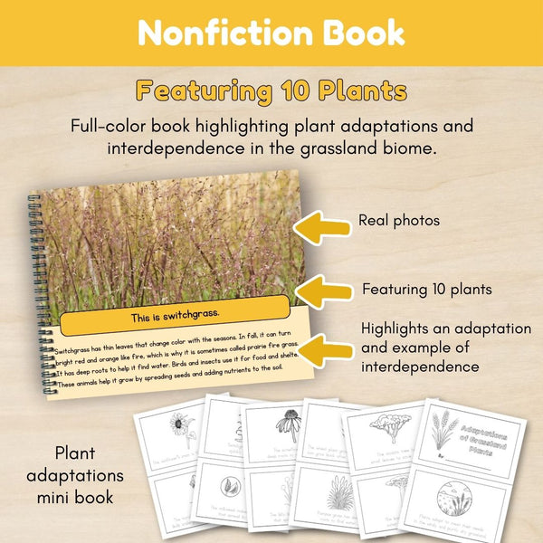 Grassland Biome: Plants - Trillium Montessori