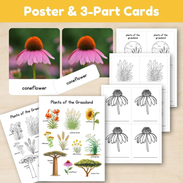 Grassland Biome: Plants - Trillium Montessori