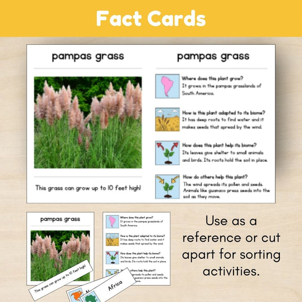 Grassland Biome: Plants - Trillium Montessori