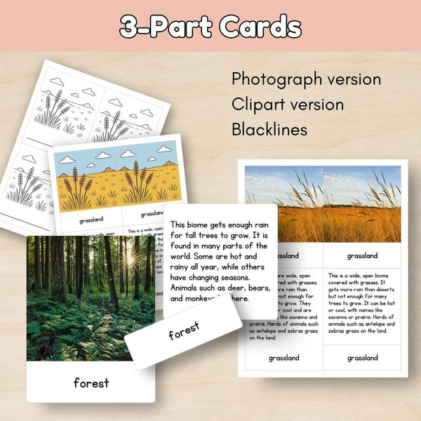 Introduction to Biomes: Types of Biomes