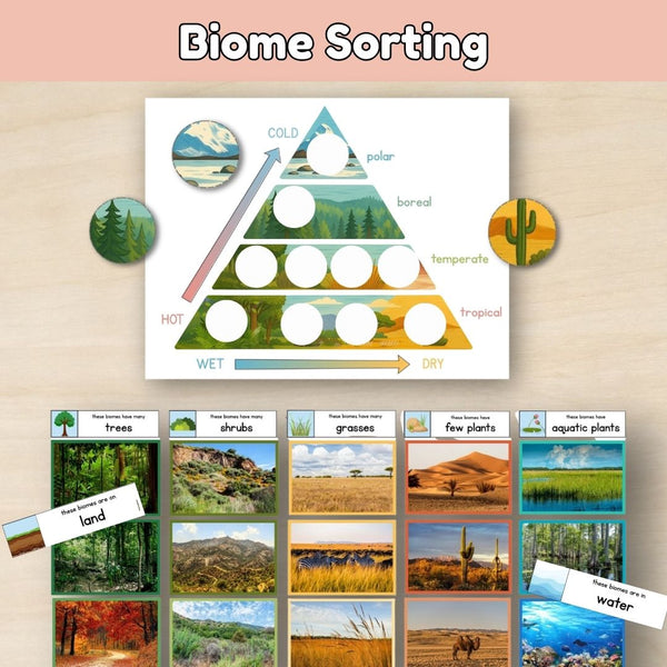 Introduction to Biomes: Types of Biomes