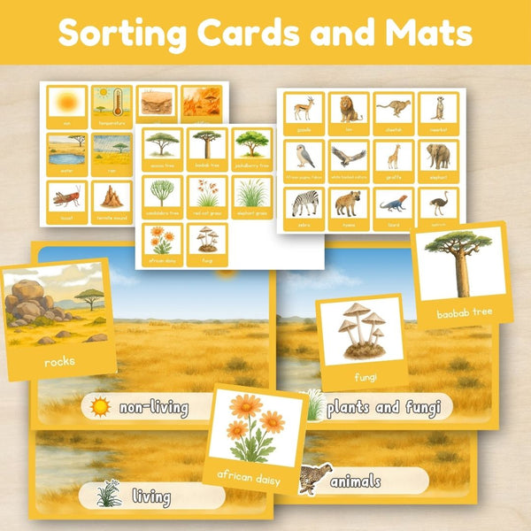 Grassland Biome: Introduction - Trillium Montessori