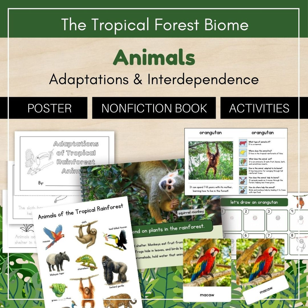 Tropical Forest Biome: Animals - Trillium Montessori