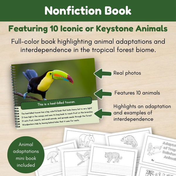 Tropical Forest Biome: Animals - Trillium Montessori