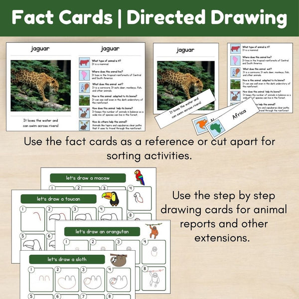 Tropical Forest Biome: Animals - Trillium Montessori
