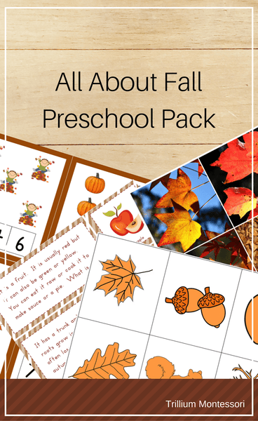 All About Fall Preschool Pack - Trillium Montessori