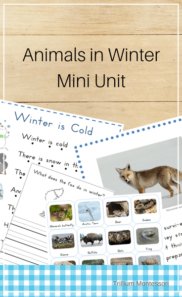 Animals in Winter- Mini Unit - Trillium Montessori