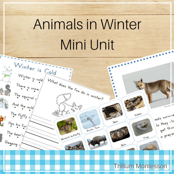 Animals in Winter- Mini Unit - Trillium Montessori